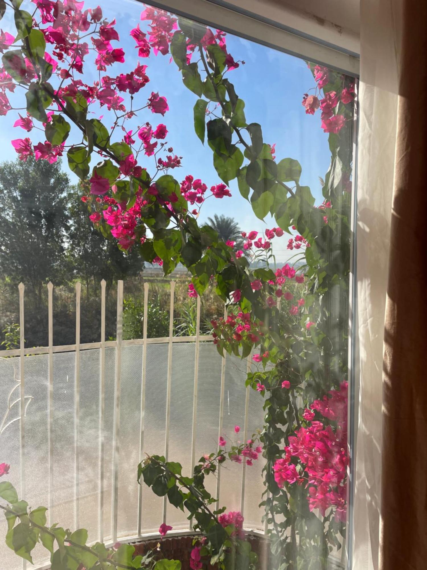 Karima House Hotell Luxor Eksteriør bilde